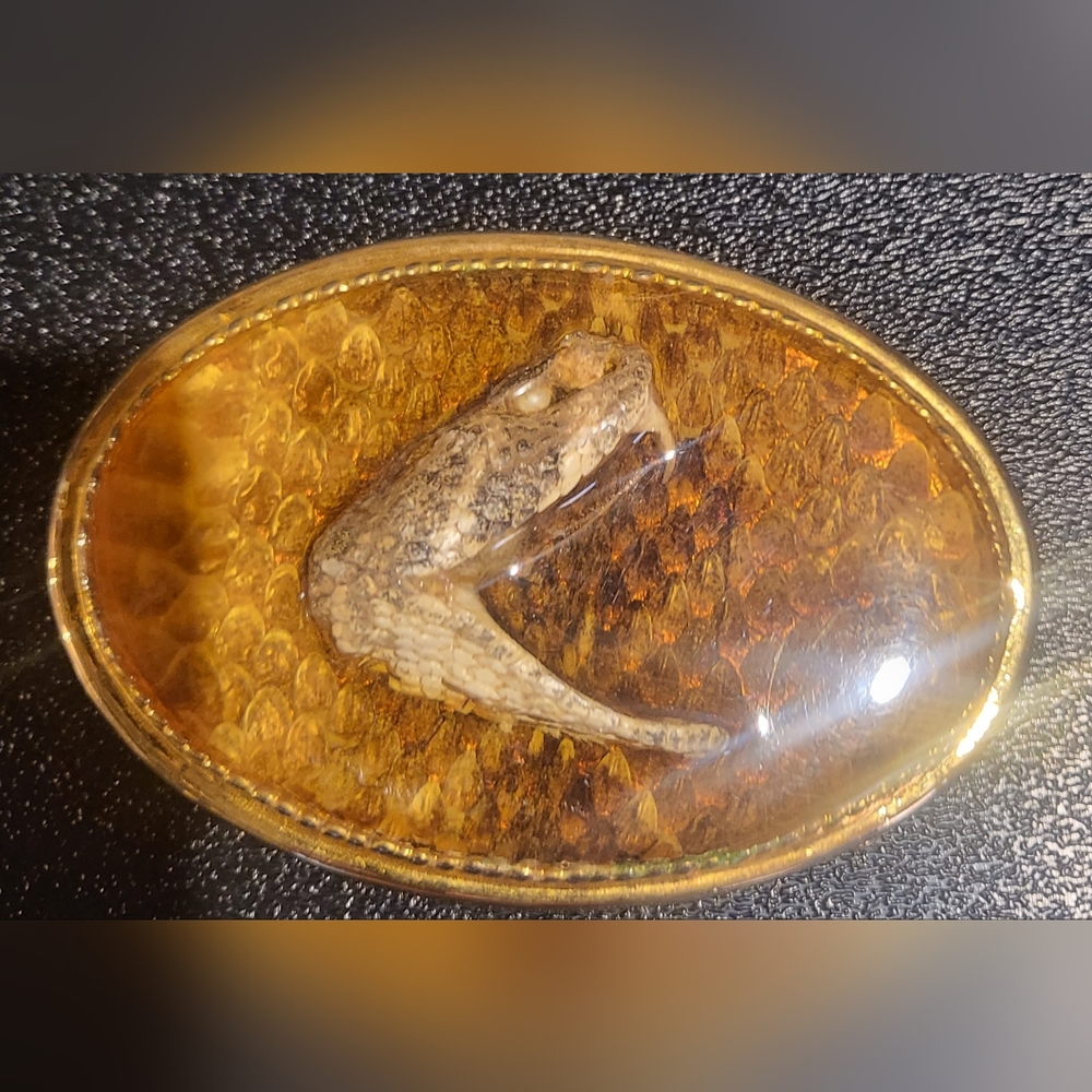 Rattlesnake head beltbuckle